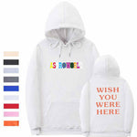 Load image into Gallery viewer, ASTROWORLD &quot;WISH YOU WERE HERE&quot; HOODIE
